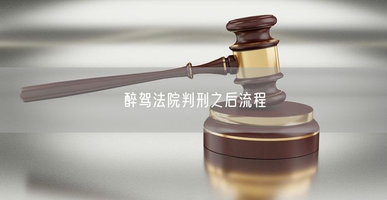 醉驾法院判刑之后流程