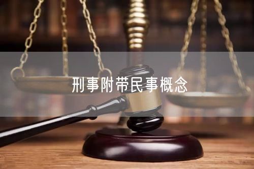 刑事附带民事概念