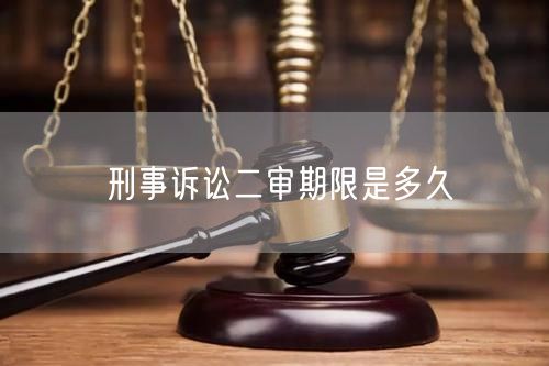 刑事诉讼二审期限是多久