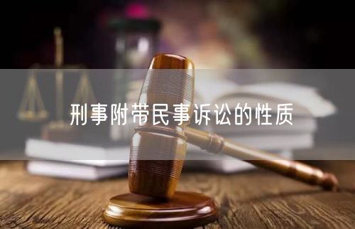 刑事附带民事诉讼的性质