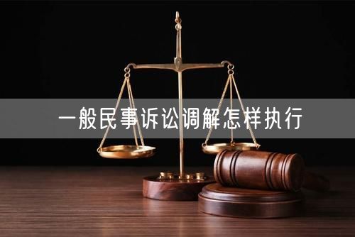 一般民事诉讼调解怎样执行