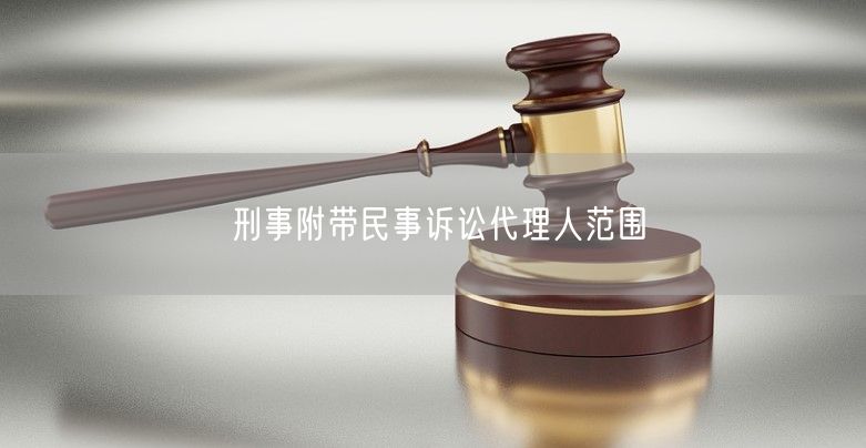 刑事附带民事诉讼代理人范围