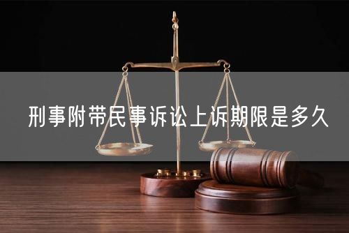 刑事附带民事诉讼上诉期限是多久