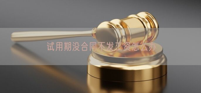 试用期没合同不发工资怎么办