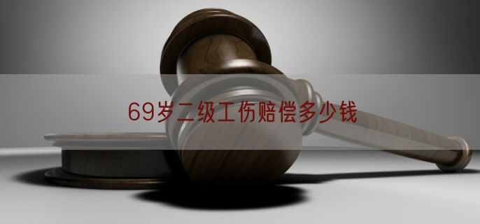 69岁二级工伤赔偿多少钱