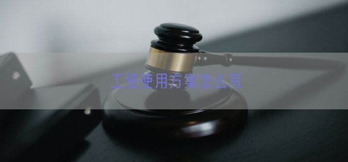 工资使用方案怎么写