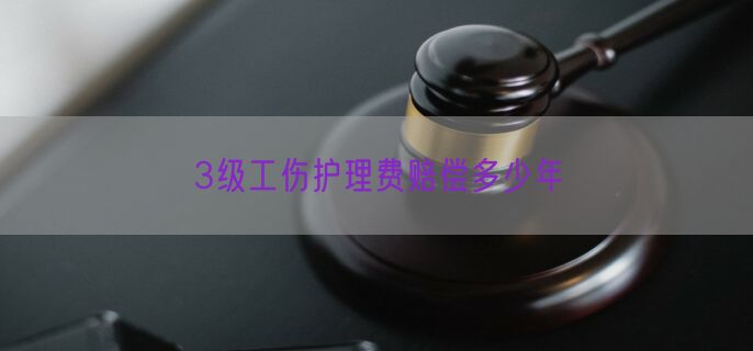 3级工伤护理费赔偿多少年