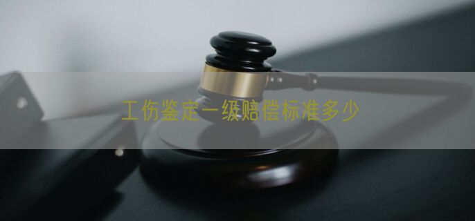 工伤鉴定一级赔偿标准多少