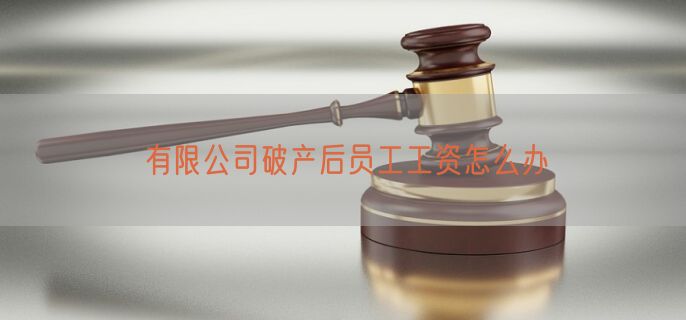 有限公司破产后员工工资怎么办