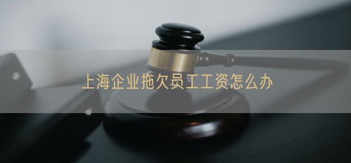 上海企业拖欠员工工资怎么办