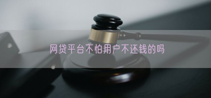 网贷平台不怕用户不还钱的吗