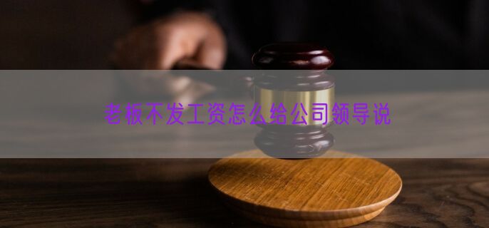 老板不发工资怎么给公司领导说