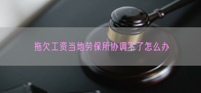 拖欠工资当地劳保所协调不了怎么办