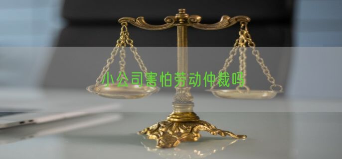 小公司害怕劳动仲裁吗