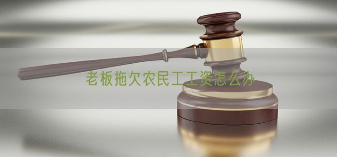 老板拖欠农民工工资怎么办