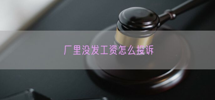 厂里没发工资怎么投诉