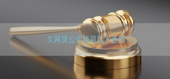 欠网贷公司钱可以不还吗