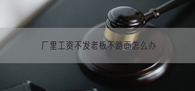 厂里工资不发老板不路面怎么办