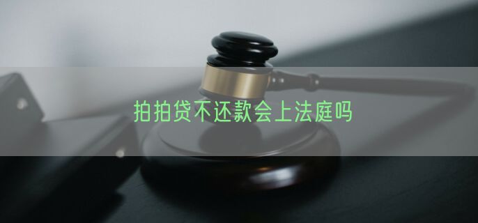 拍拍贷不还款会上法庭吗