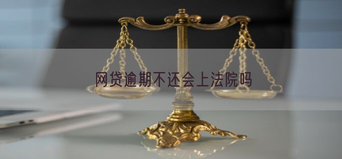 网贷逾期不还会上法院吗