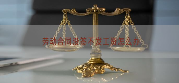 劳动合同没签不发工资怎么办