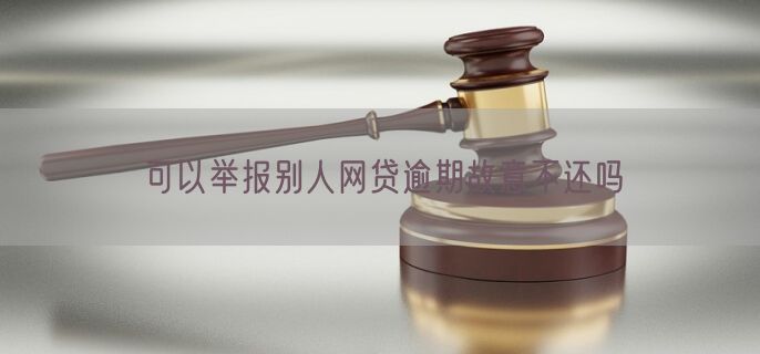 可以举报别人网贷逾期故意不还吗