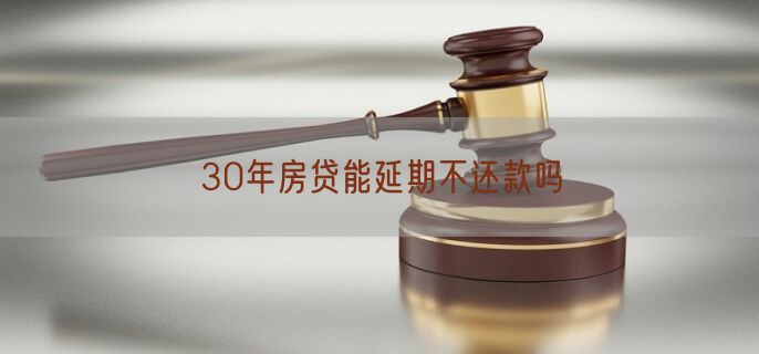 30年房贷能延期不还款吗