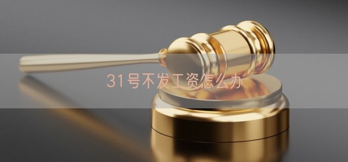 31号不发工资怎么办