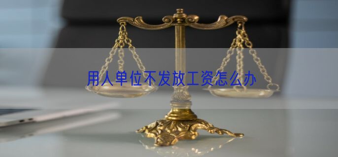 用人单位不发放工资怎么办