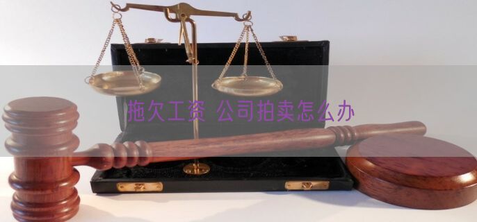 拖欠工资 公司拍卖怎么办