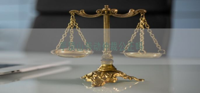 平顶山劳动仲裁公正吗