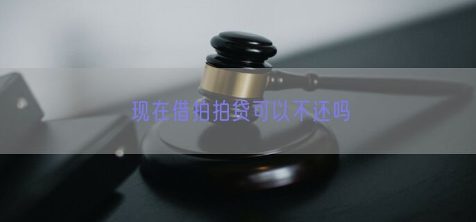 现在借拍拍贷可以不还吗