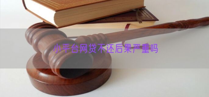 小平台网贷不还后果严重吗