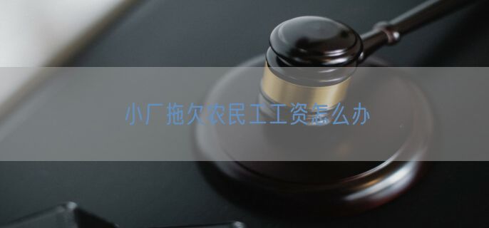 小厂拖欠农民工工资怎么办