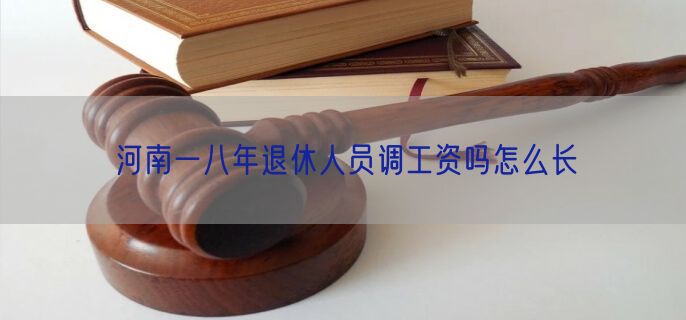 河南一八年退休人员调工资吗怎么长