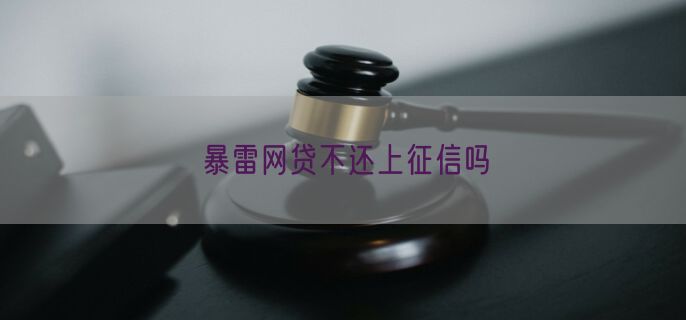 暴雷网贷不还上征信吗