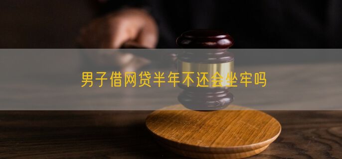 男子借网贷半年不还会坐牢吗