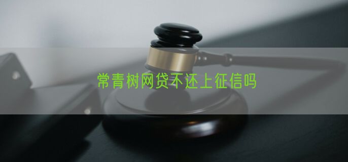 常青树网贷不还上征信吗