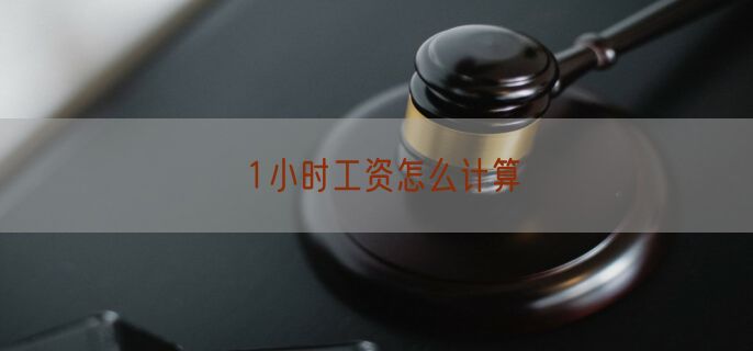 1小时工资怎么计算