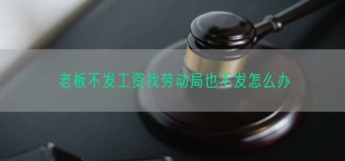 老板不发工资找劳动局也不发怎么办