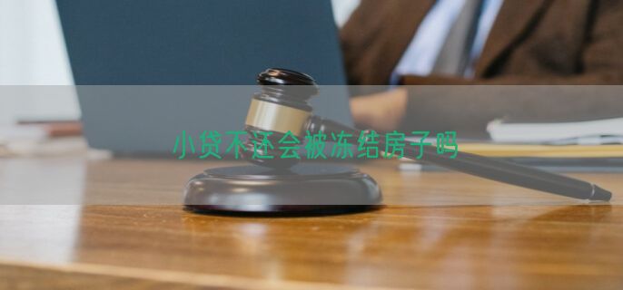 小贷不还会被冻结房子吗