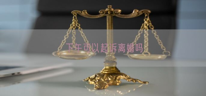 下午可以起诉离婚吗