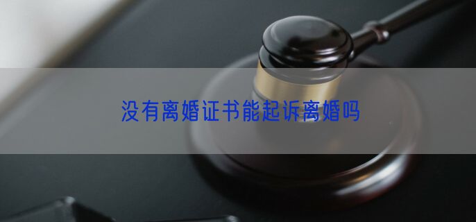 没有离婚证书能起诉离婚吗