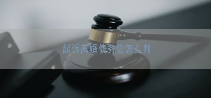 起诉离婚债务会怎么判