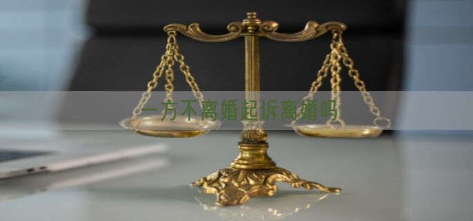 一方不离婚起诉离婚吗