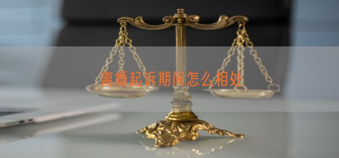 离婚起诉期间怎么相处