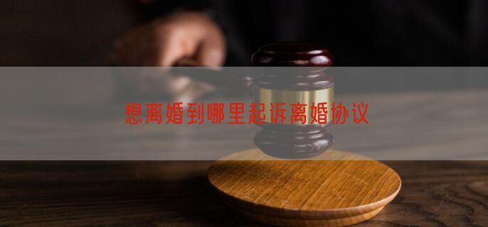 想离婚到哪里起诉离婚协议