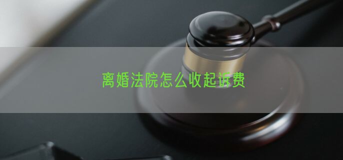 离婚法院怎么收起诉费