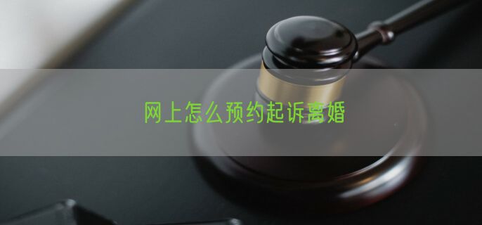 网上怎么预约起诉离婚