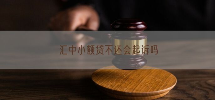 汇中小额贷不还会起诉吗